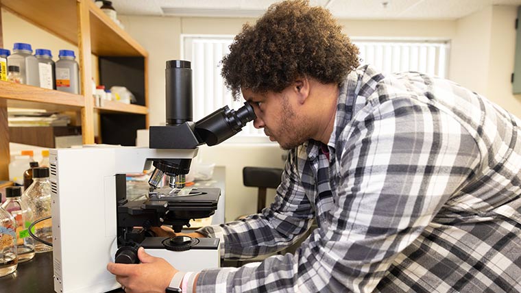 Student looking into a microscope.