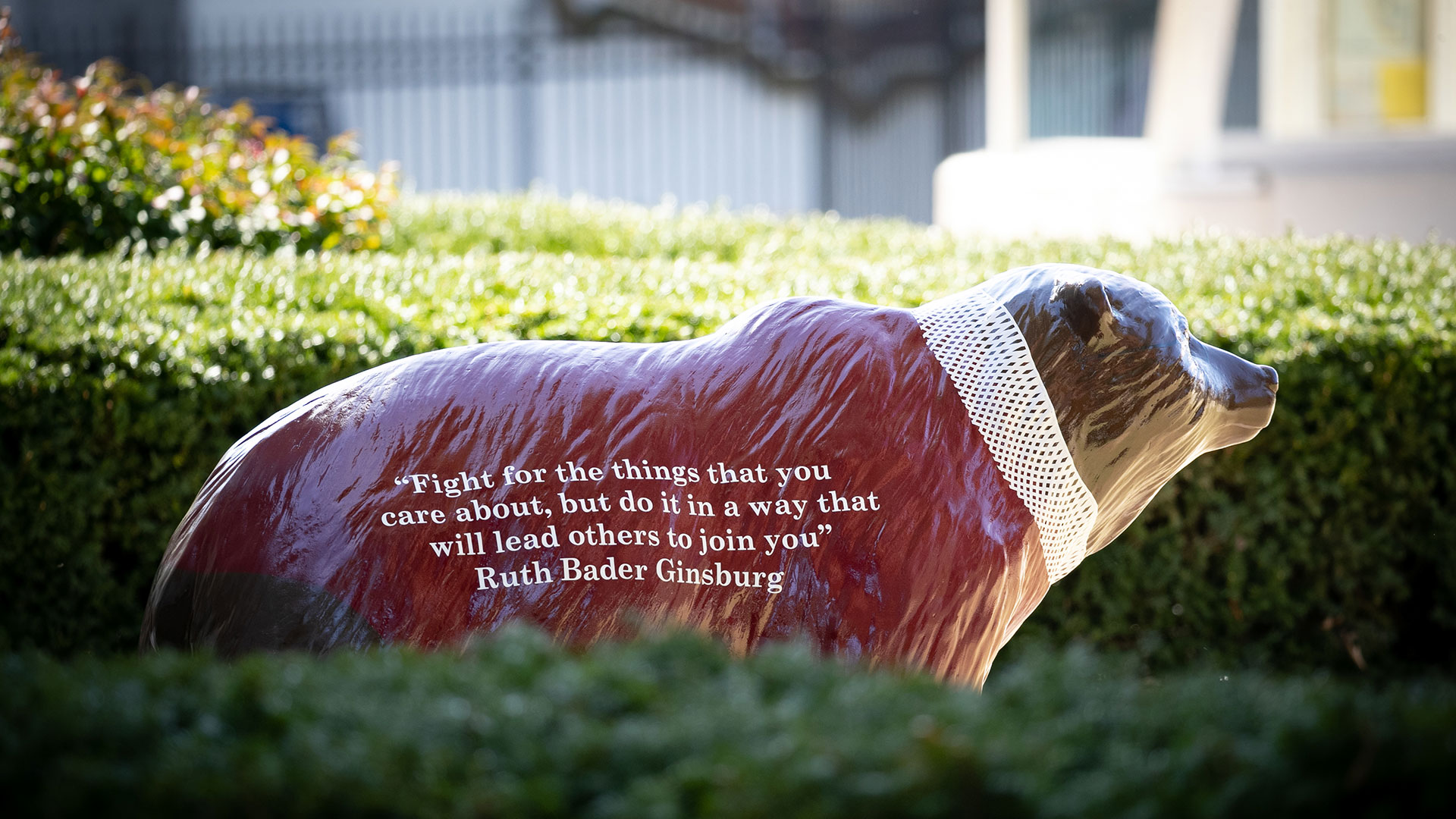 Bear statue with Ruth Bader Ginsburg quote 'Fight for the things that you care about, but do it in a way that will lead others to join you.'