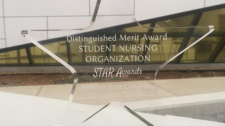 Distinguished Merit Award for Student Nursing Organization.