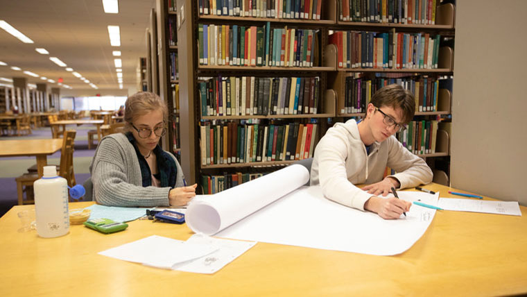 Students using Meyer Library to study.