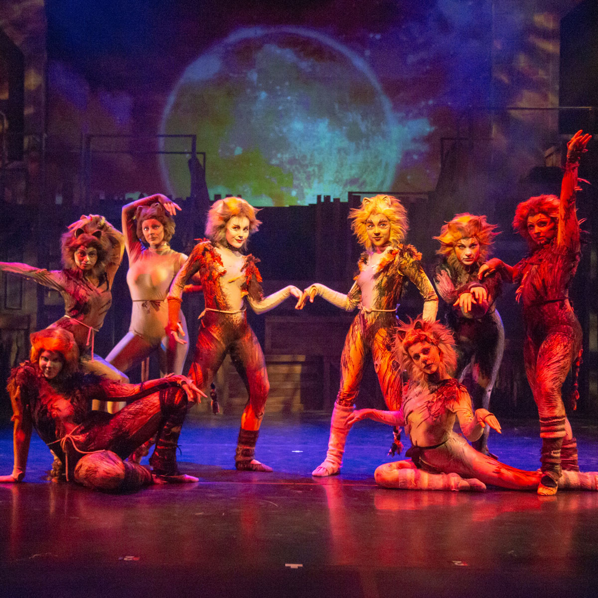 MSU cast of 'Cats' strike a pose on stage.