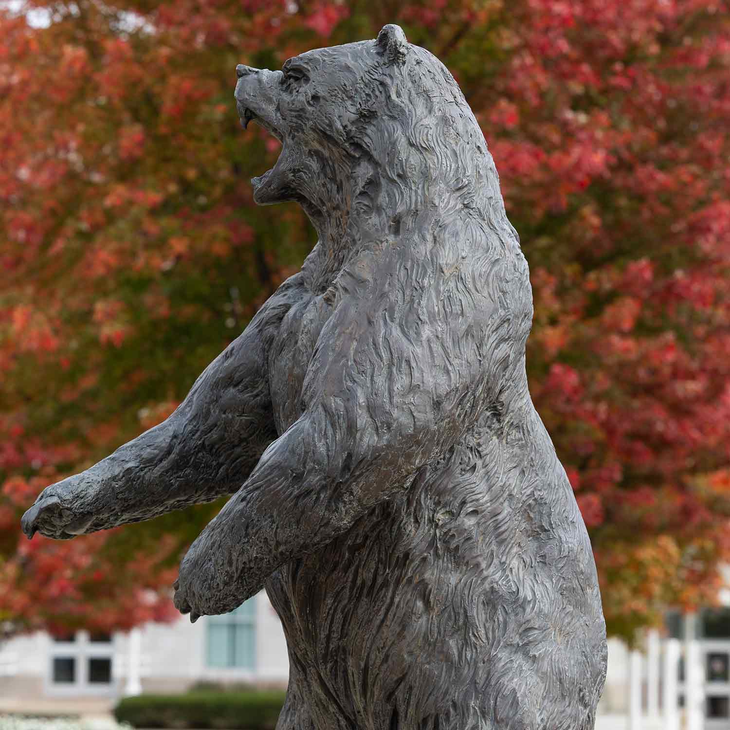 Bear statue with leaves in autumn color in the background.