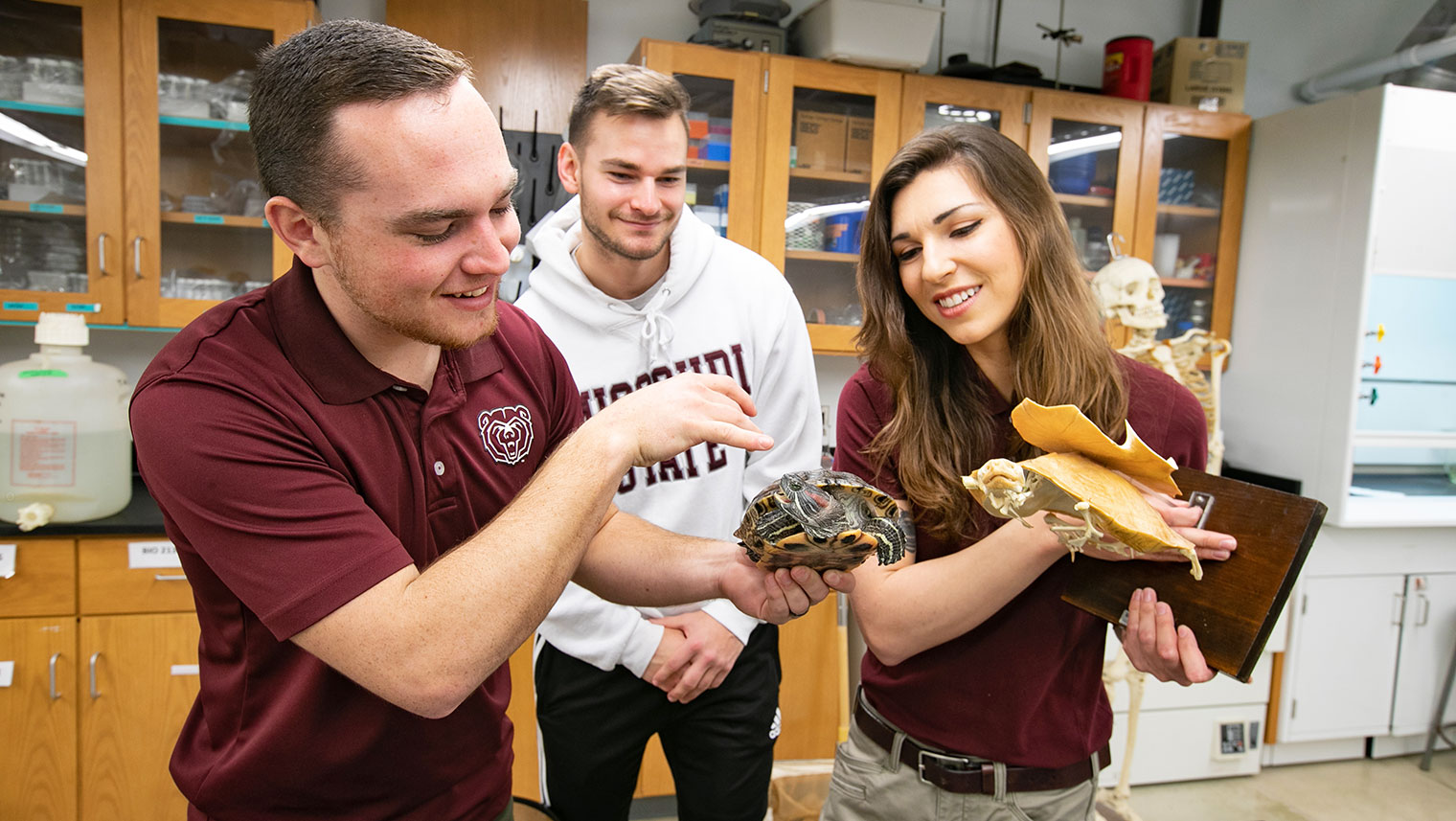 Two students and an instructor examining a large turtle in a biology lab