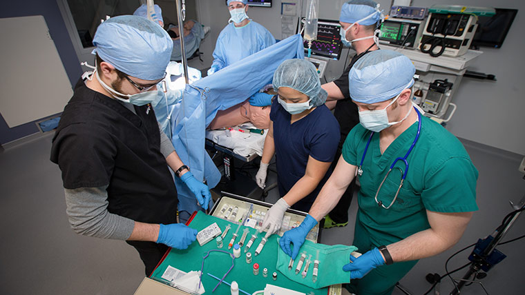 Anesthesia students handling needles and insertions while practiing on a manikin