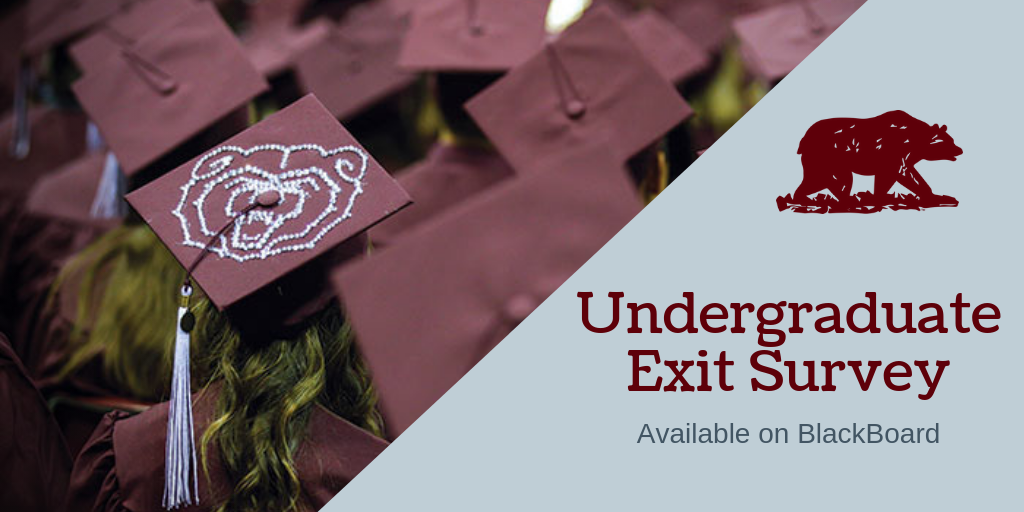Banner that says Undergraduate Exit Survey Available on BlackBoard
