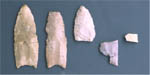 Photo of fluted points from Big Eddy