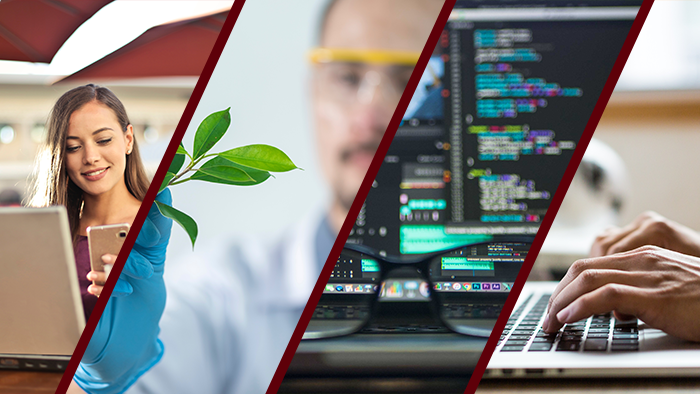 Four images: first, a woman at her laptop with a cell phone, then a man examining a plant, glasses sit at a computer screen filled with code and fingers type at a keyboard.