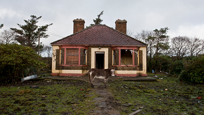 A donkey stands in front of a dilapidated home