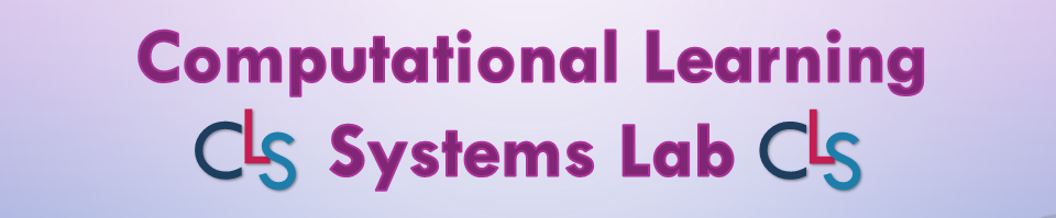 Computational Learning Systems Lab Banner