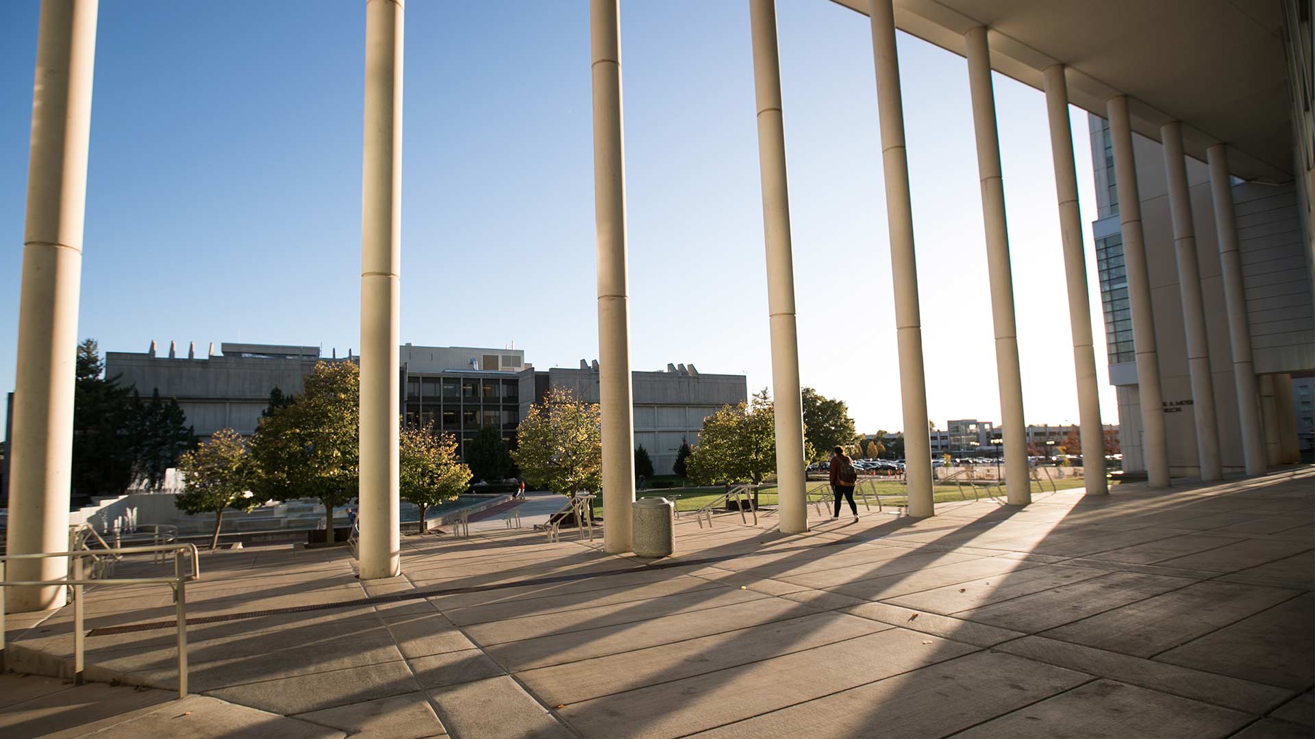 Sunlight cuts through the Meyer Library pillars during late afternoon.