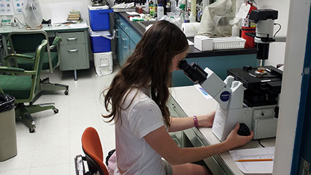 Lauren Bansbach using a microscope