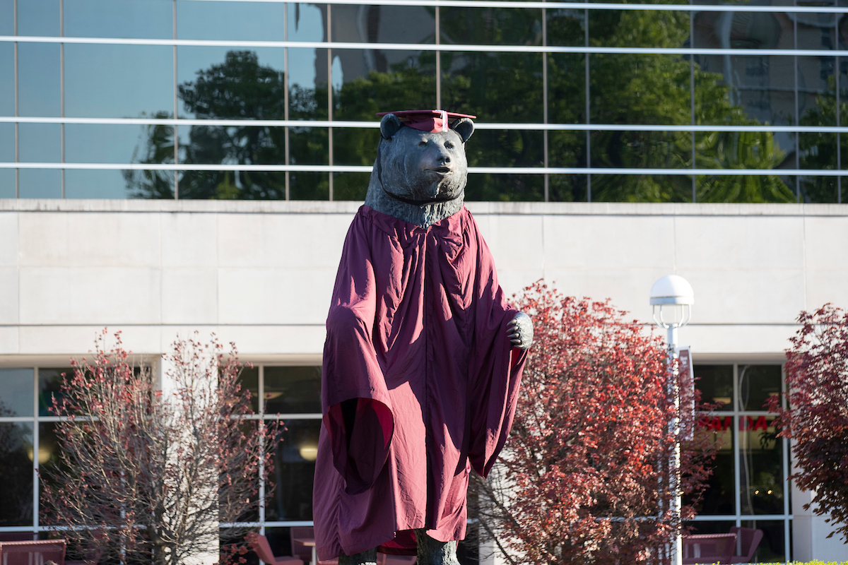 Bear statue wearing graduation cap and gown
