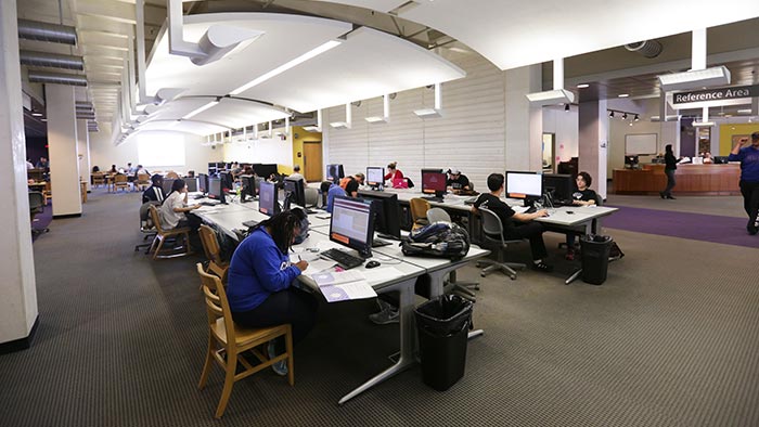 Students working in library computer lab