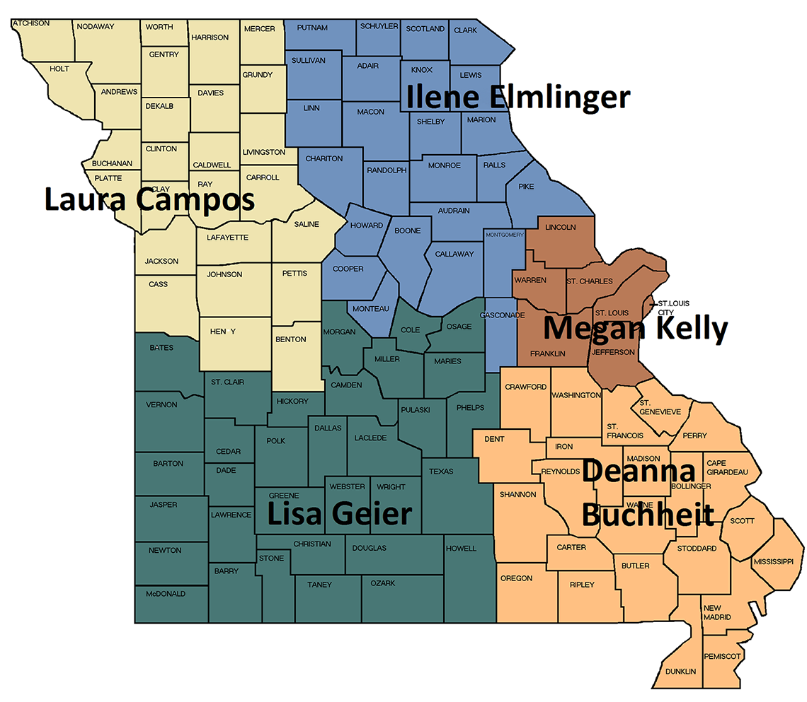 Missouri counties map of MOHEAR regions; Northwest, Northeast, St. Louis, Southeast and Southwest.