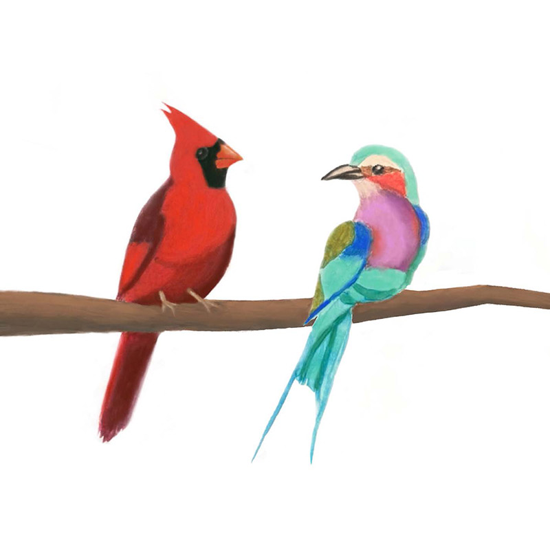 Cover for the Chorale's album "The Cardinal and the Roller", showing two birds perched on a tree branch