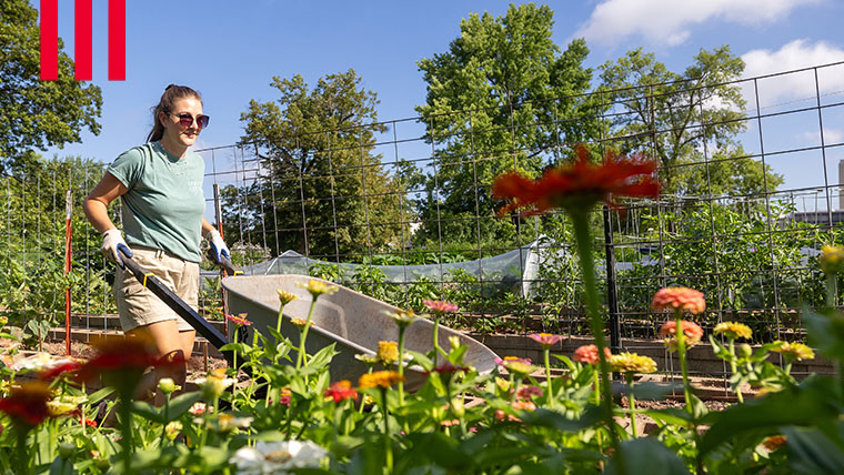 Missouri State student working in the campus garden.