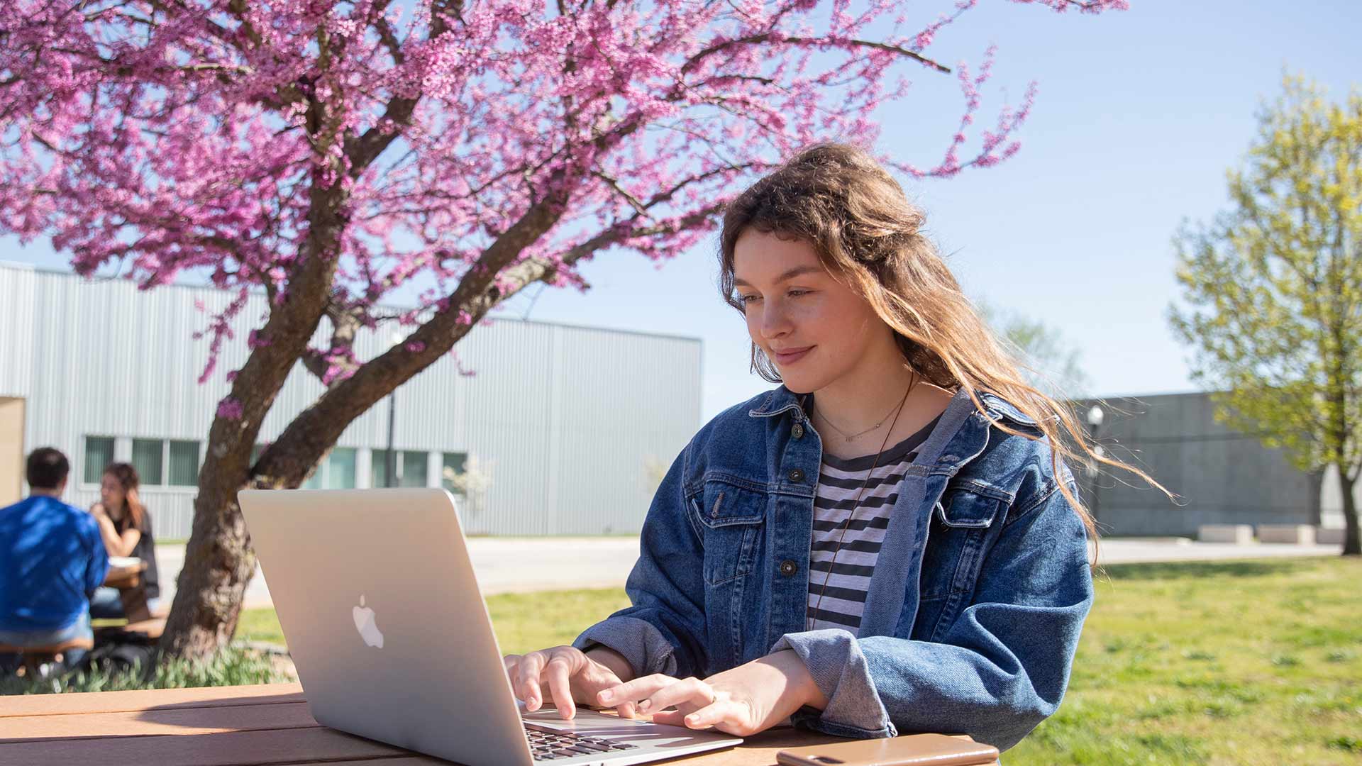 Student studying on her laptop outside on a nice, sunny day.