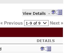 Image of view details icon