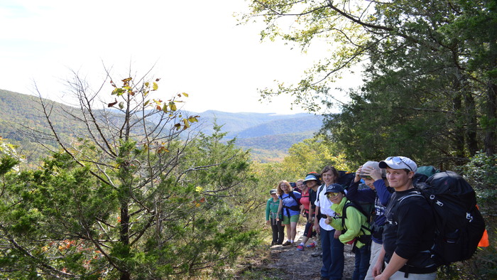 Group of OA participants on a hike