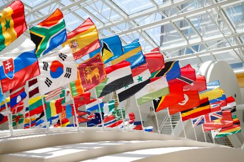 International Student