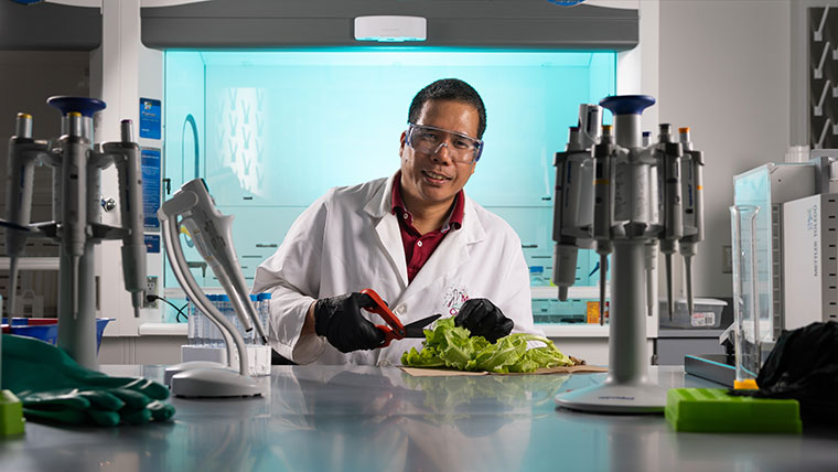 Dr. Cyren Rico, associate professor of chemistry, uses scissors to cut up lettuce at a worktable in his lab.