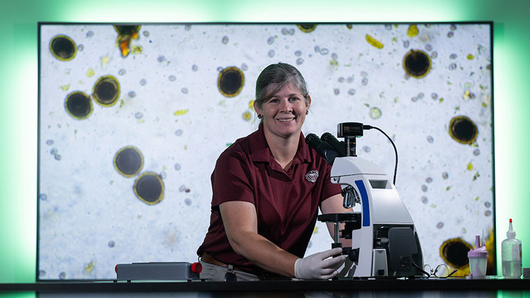 Dr. Lacy Sukovaty examines samples of parasites common to small animals using a microscope in a lab.