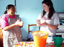 ANT Education Abroad image 3