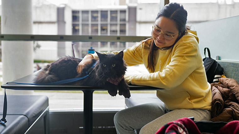 Missouri State student petting a black cat in Meyer Library. 