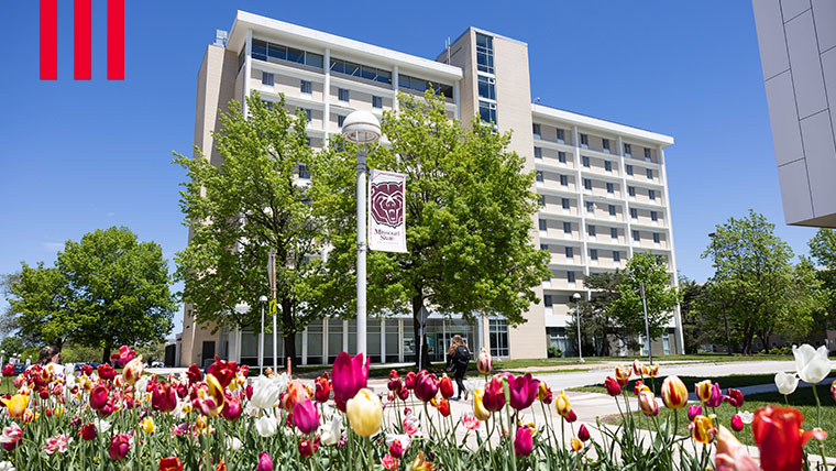 Beautiful tulips blooming on campus.
