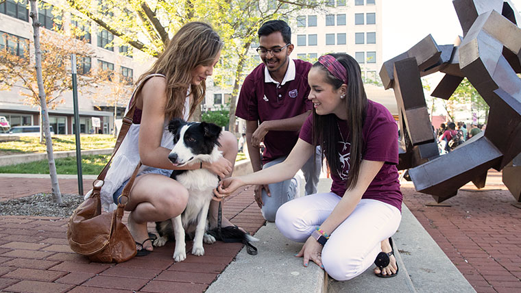 Three Missouri State students playing with a pup in downtown Springfield, MO.
