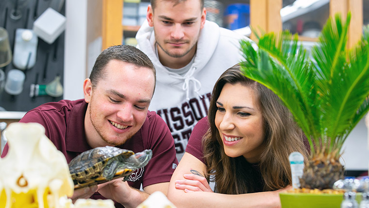 Three Missouri State students with a turtle in a biology lab. 
