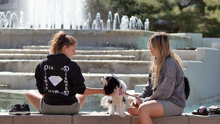 Two Missouri State students sitting at Hammons fountain, in the summertime, playing with a small dog. 