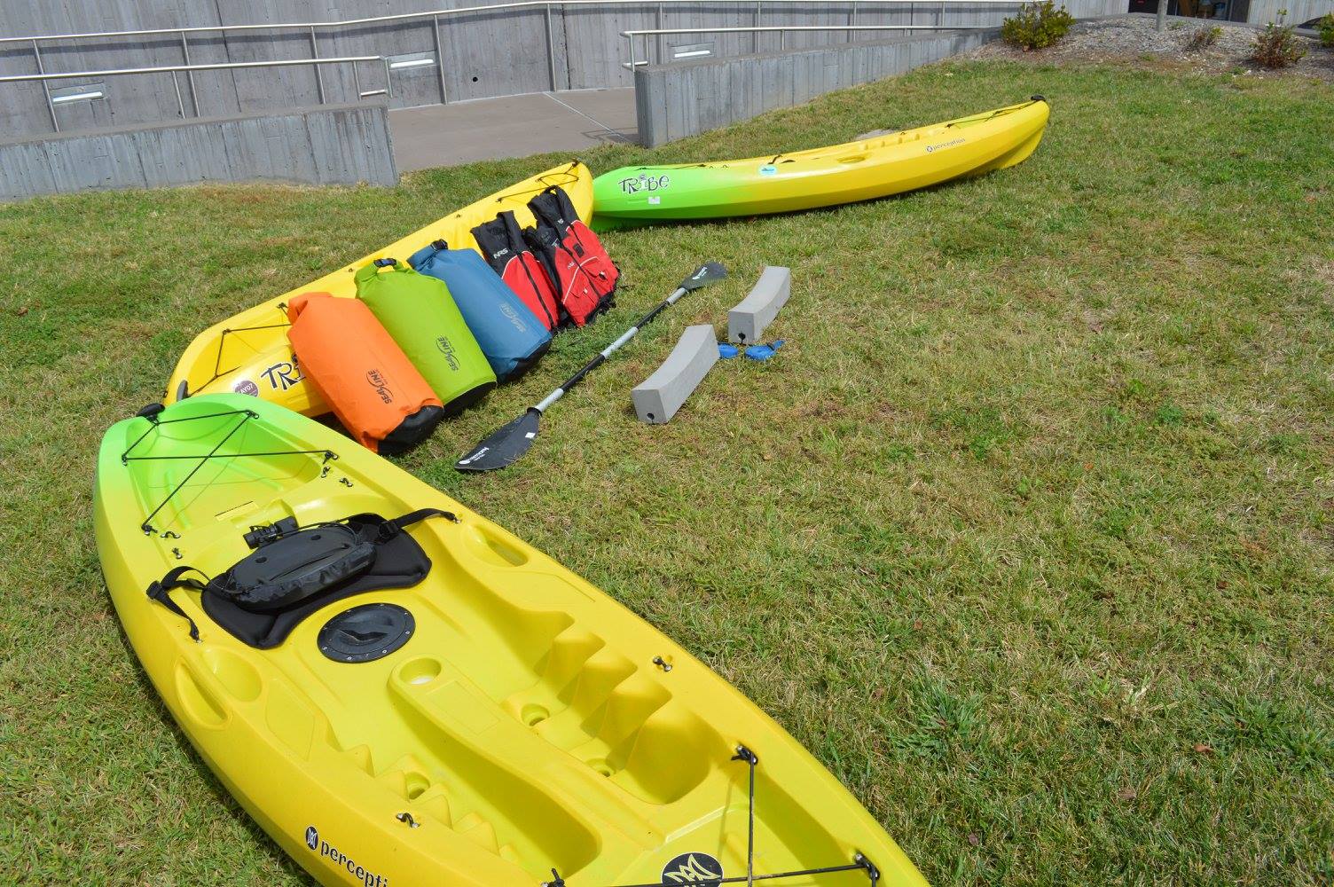 Yellow Kayaks with Kayak Paddles and Dry Bags