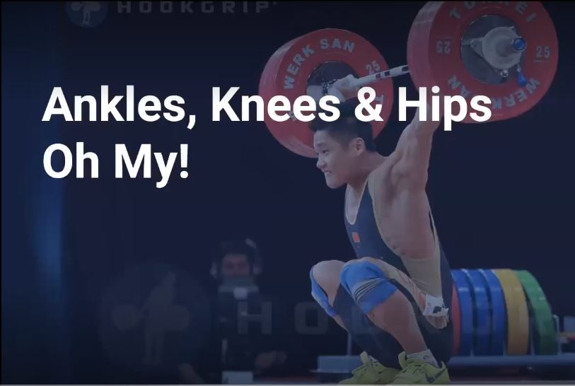 ankles knees and hip. Oh My!