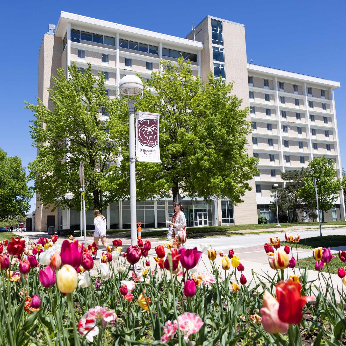 A view of tulips planted in front of a residence hall.