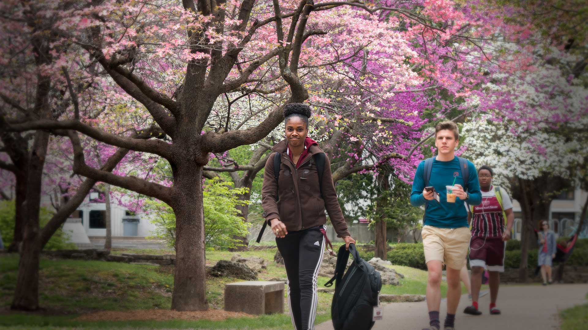 Students walking on campus on a spring day with trees in full bloom.